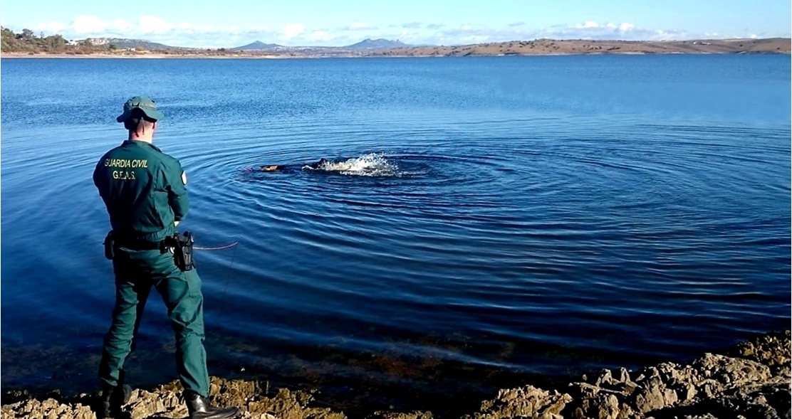 Vuelven a superarse las 200 muertes en los espacios acuáticos