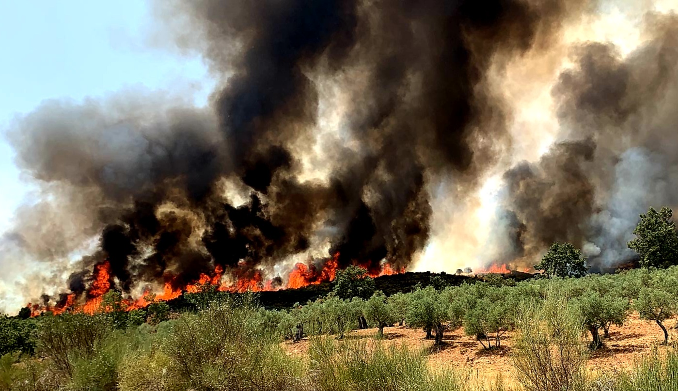 Un amplio operativo lucha de nuevo contra las llamas en el norte extremeño: nivel 1 de peligrosidad