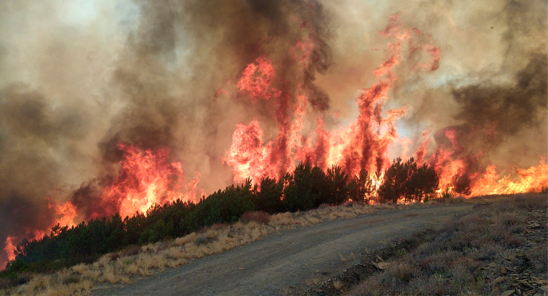 Totalmente fuera de control el incendio en Sierra de Gata