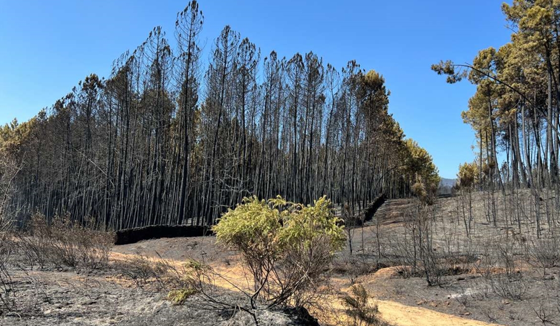 El INFOEX interviene en 17 incendios forestales durante la última semana