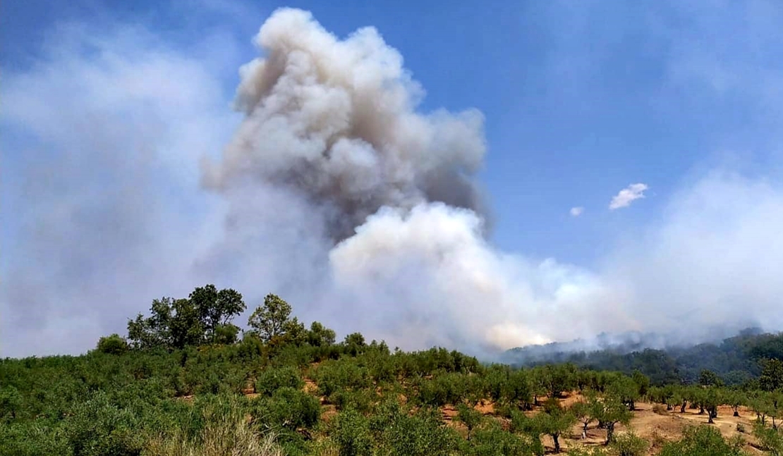 Estabilizado el incendio de Santibáñez el Alto (CC)