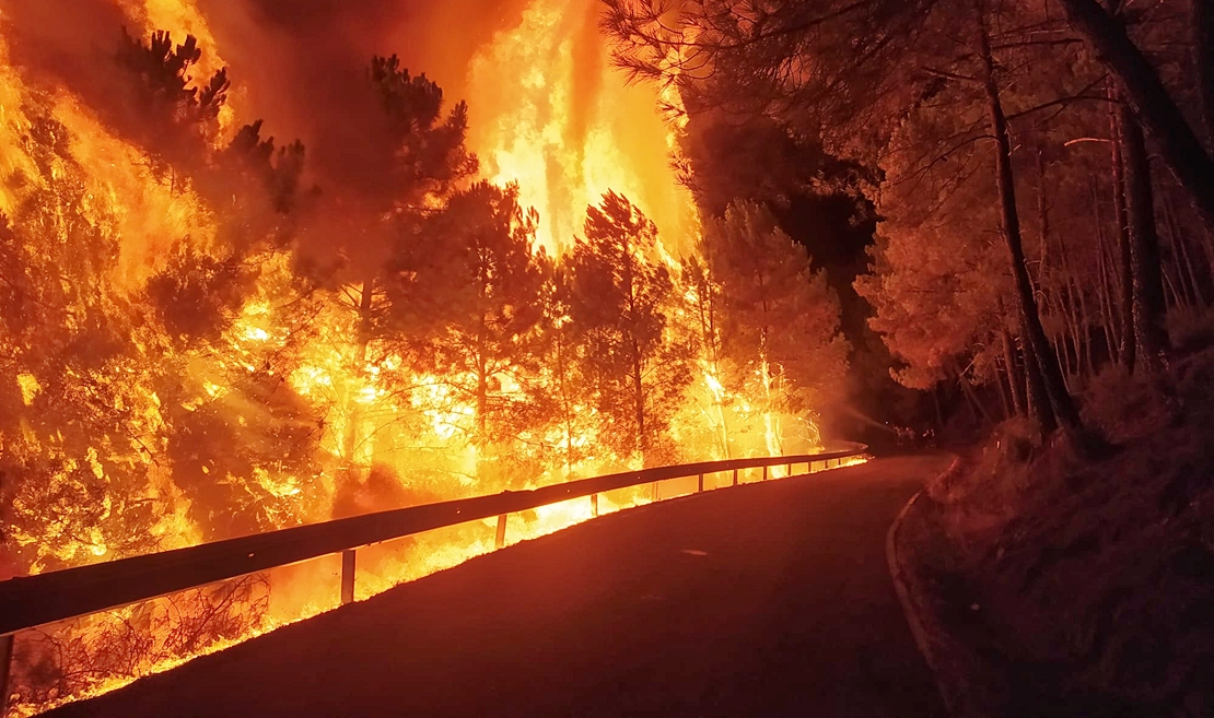 Horas decisivas en Sierra de Gata