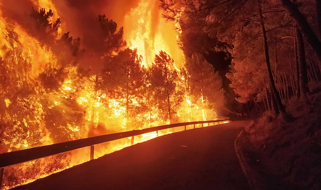 Los incendios forestales de España y Portugal, lección para Europa ante la crisis climática
