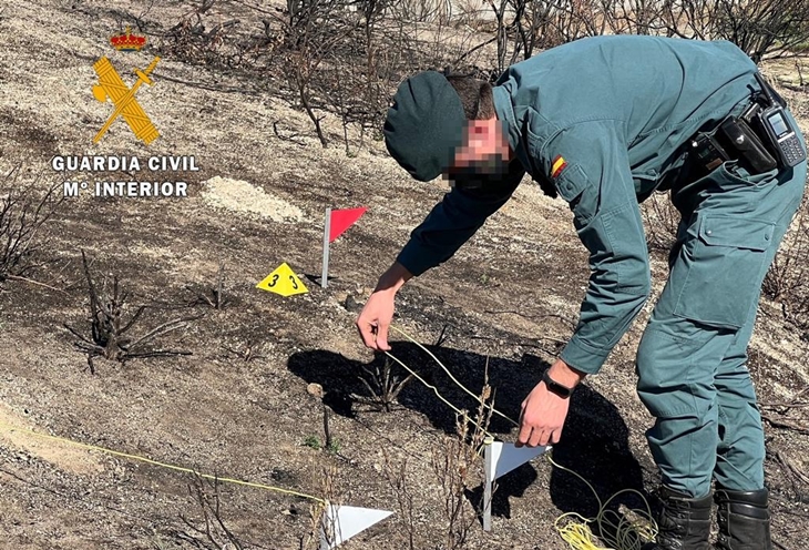 Identifican al supuesto autor del incendio forestal ocurrido en Torremenga (CC)