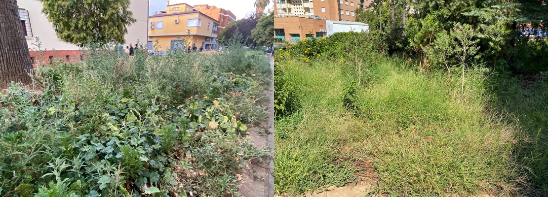 Critican el abandono de jardines recién renovados en Badajoz