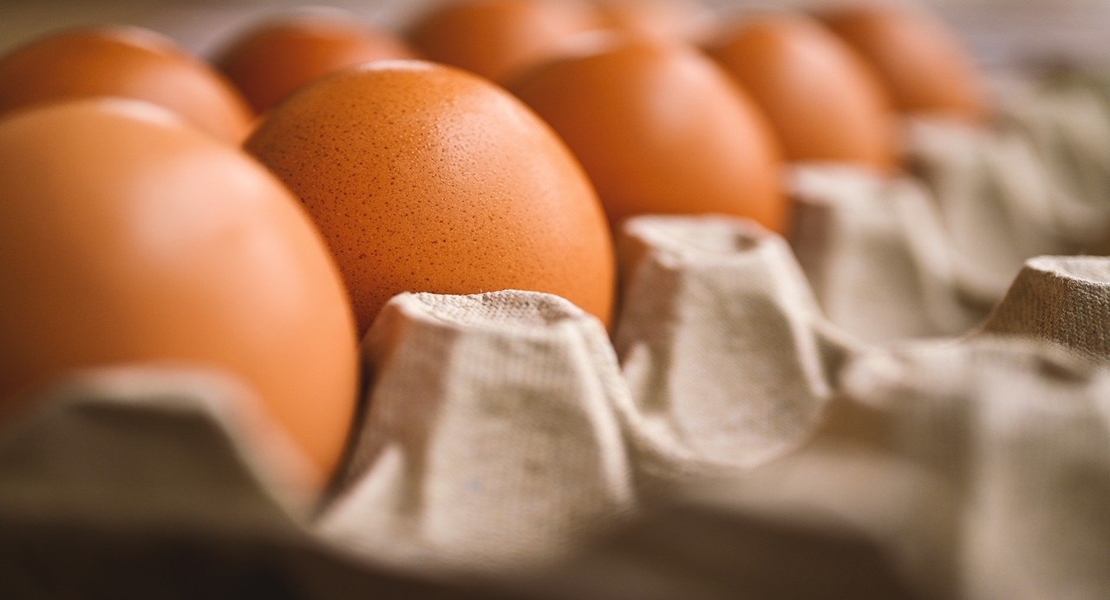 La provincia de Badajoz consume 274.000 huevos al día