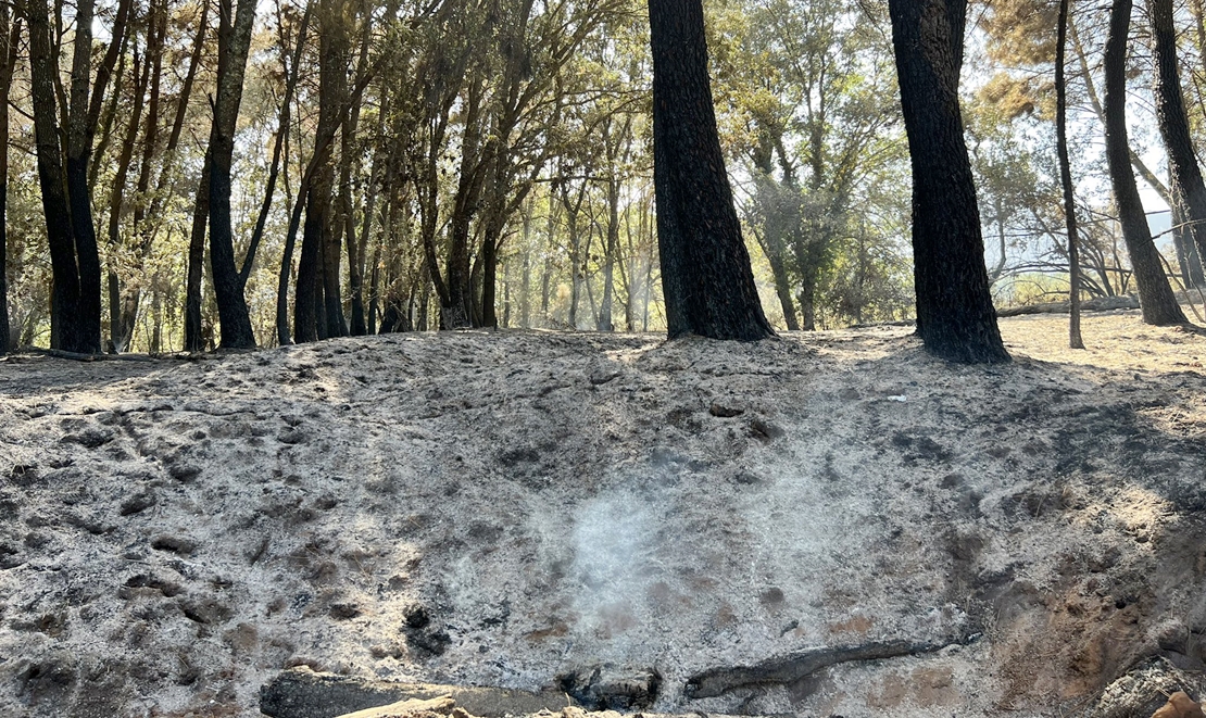 Declaran estabilizado el incendio en Sierra de Gata