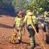 Evolución favorable para el incendio forestal de Nogales (BA)