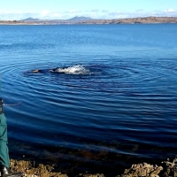 Vuelven a superarse las 200 muertes en los espacios acuáticos
