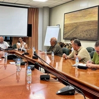 La Junta explica la sentencia favorable para la replantación de viñedos en la región