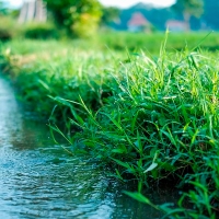 Un sistema captará agua en invierno y la almacenará "como oro en paño" para el verano