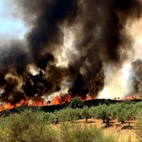 Un amplio operativo lucha de nuevo contra las llamas en el norte extremeño