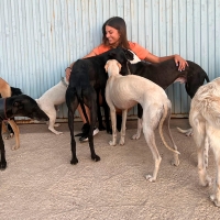 Una protectora de la provincia de Badajoz necesita ayuda: &quot;Tenemos que conseguirlo&quot;