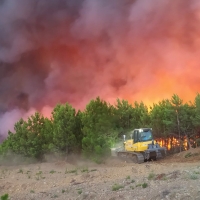 Se mantiene la preocupación en Sierra de Gata: te contamos cómo están trabajando en la zona