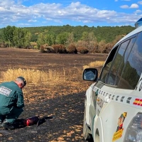 La Guardia Civil investiga a otras cuatro personas por los incendios forestales