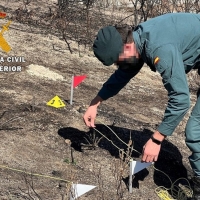 Identifican al supuesto autor del incendio forestal ocurrido en Torremenga (CC)