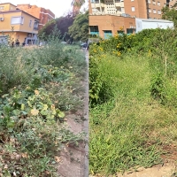 Critican el abandono de jardines recién renovados en Badajoz