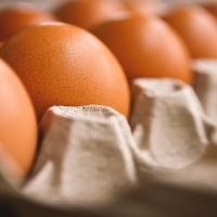 La provincia de Badajoz consume 274.000 huevos al día