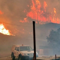 Piden la actuación urgente de las zonas afectadas por los graves incendios en Extremadura