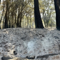 Declaran estabilizado el incendio en Sierra de Gata