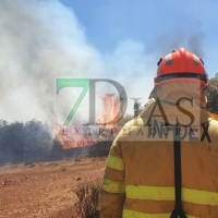 Incendio forestal fuera de control cerca de Nogales