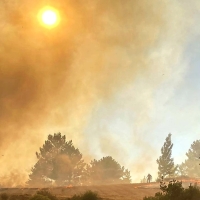 SEO/BirdLife valora las últimas medidas para ahorrar energía y prevenir incendios forestales