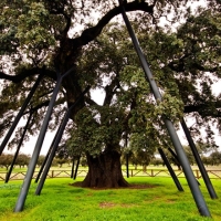 Exigen el cese del director general de Sostenibilidad: “Su política arruina el sector agrario”