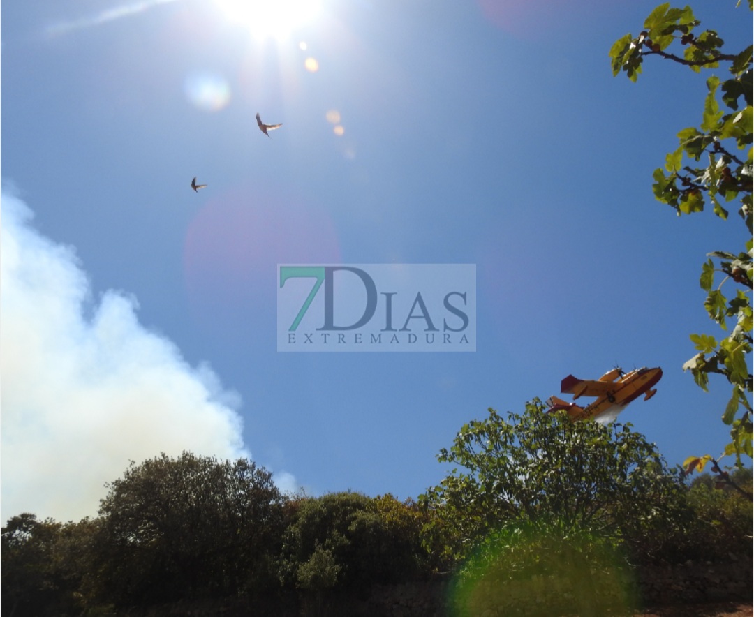 Evolución favorable para el incendio forestal de Nogales (BA)