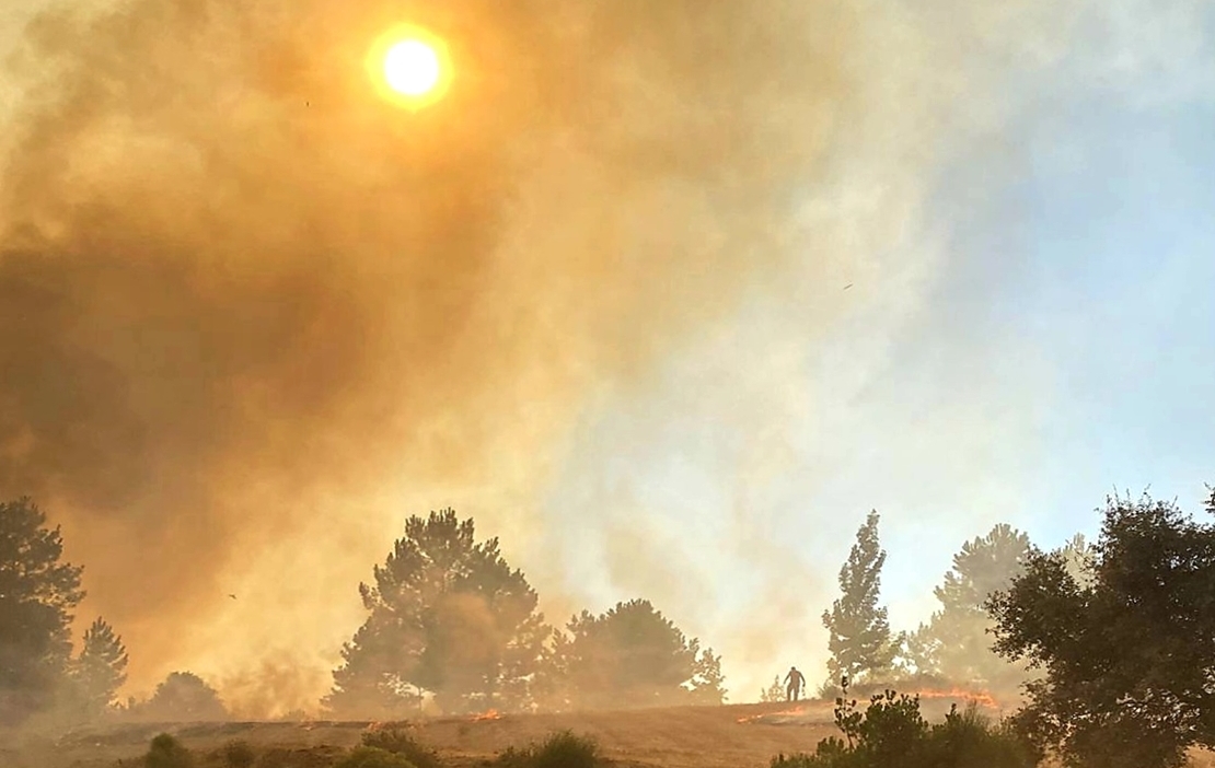 SEO/BirdLife valora las últimas medidas para ahorrar energía y prevenir los incendios forestales