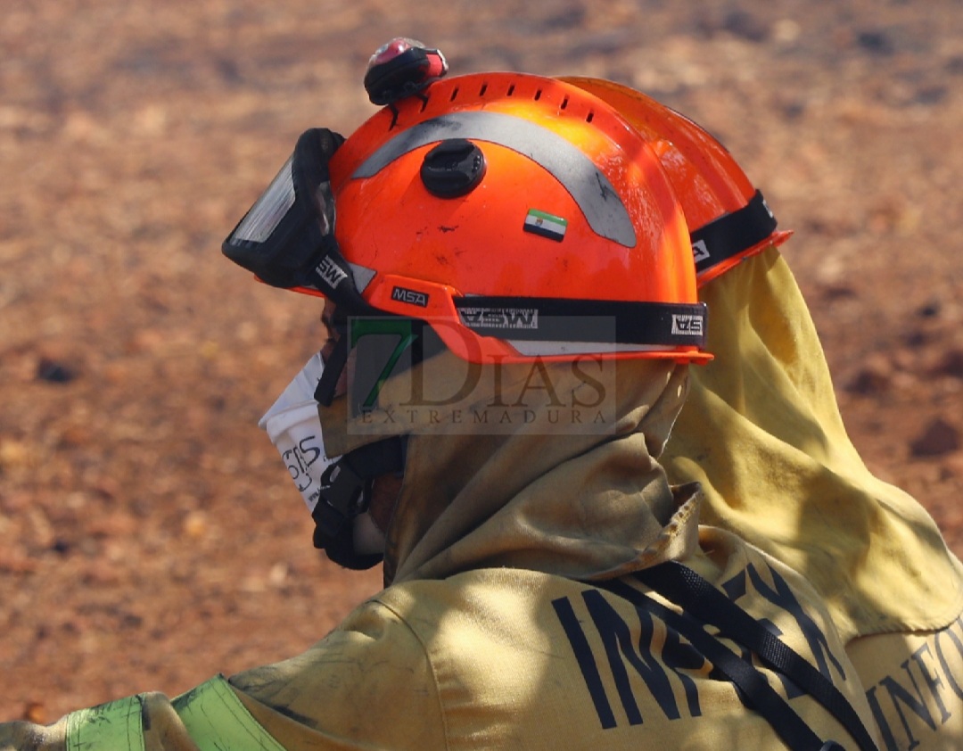 Evolución favorable para el incendio forestal de Nogales (BA)