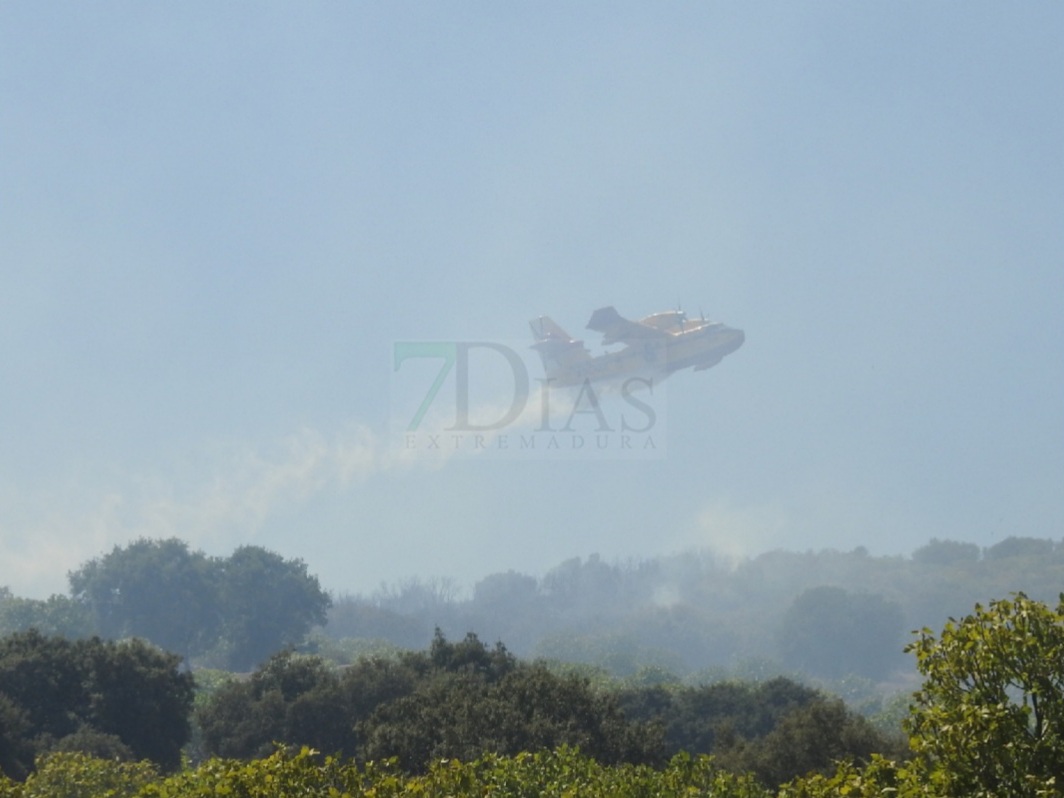 Evolución favorable para el incendio forestal de Nogales (BA)