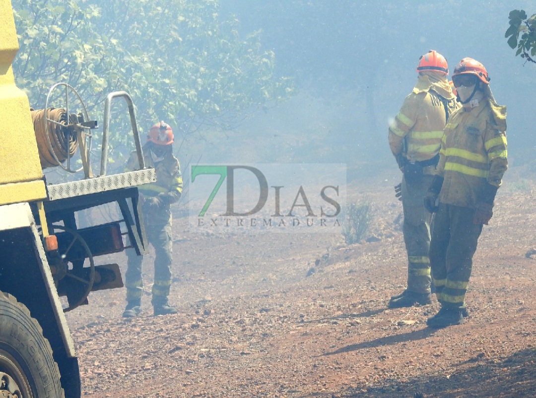 Evolución favorable para el incendio forestal de Nogales (BA)