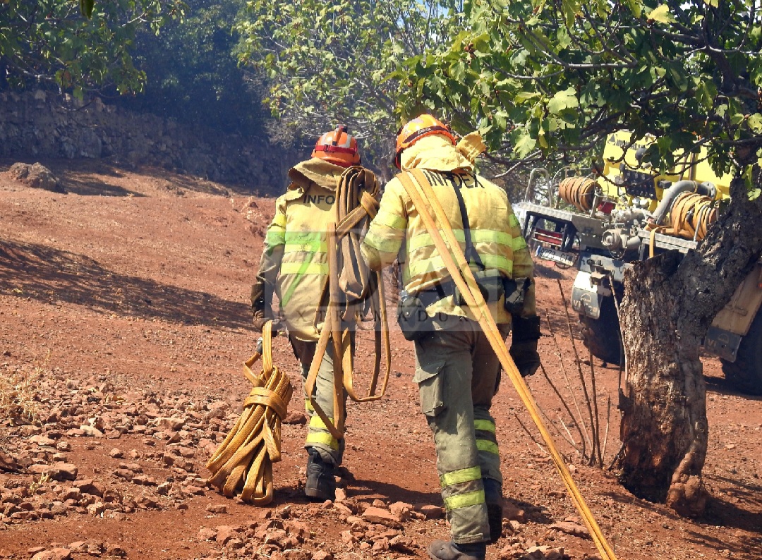 Evolución favorable para el incendio forestal de Nogales (BA)