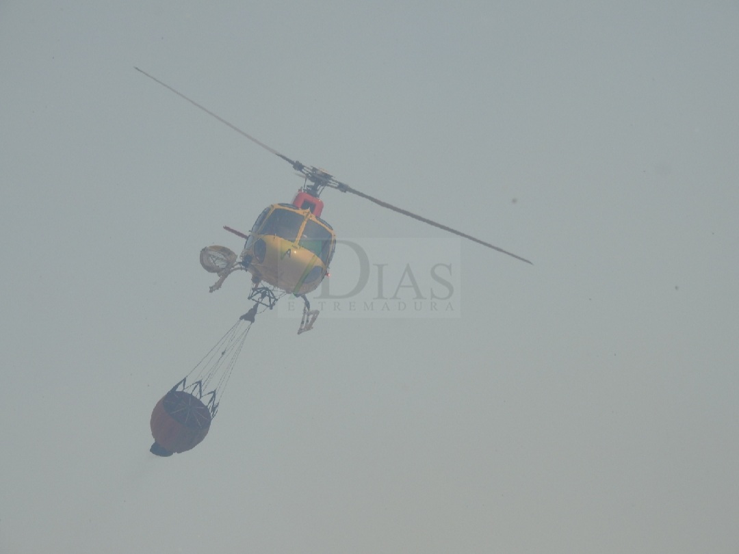 Evolución favorable para el incendio forestal de Nogales (BA)