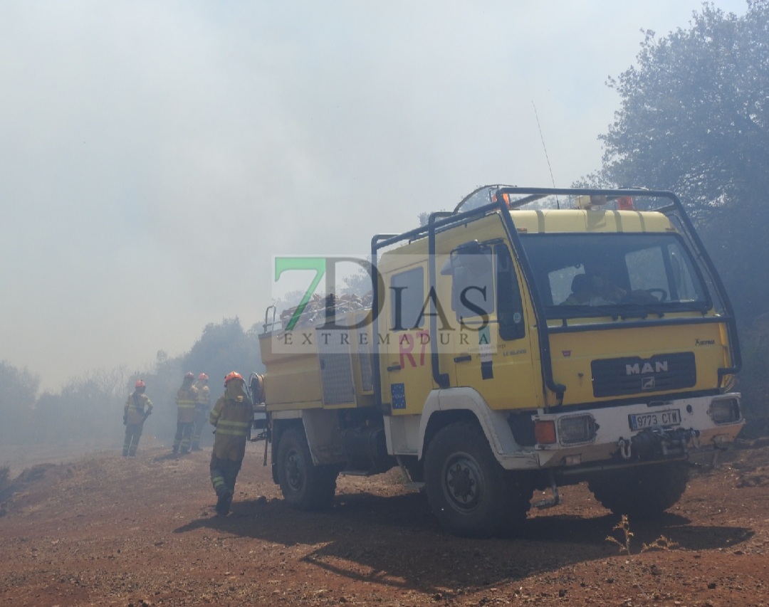 Evolución favorable para el incendio forestal de Nogales (BA)