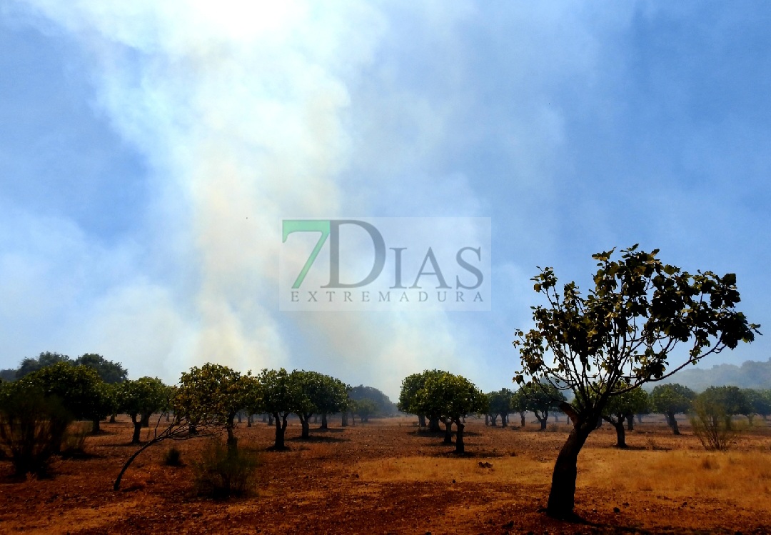 Evolución favorable para el incendio forestal de Nogales (BA)