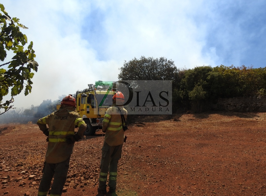 Evolución favorable para el incendio forestal de Nogales (BA)