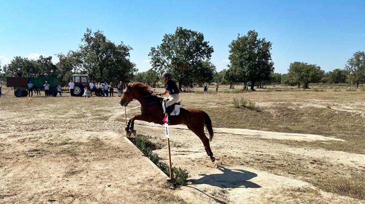 Extremadura apuesta por el sector equino