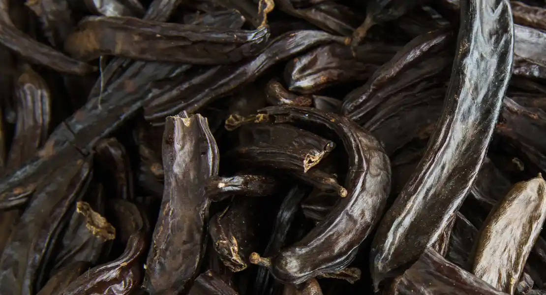 El superalimento que es usado como pienso para ganado