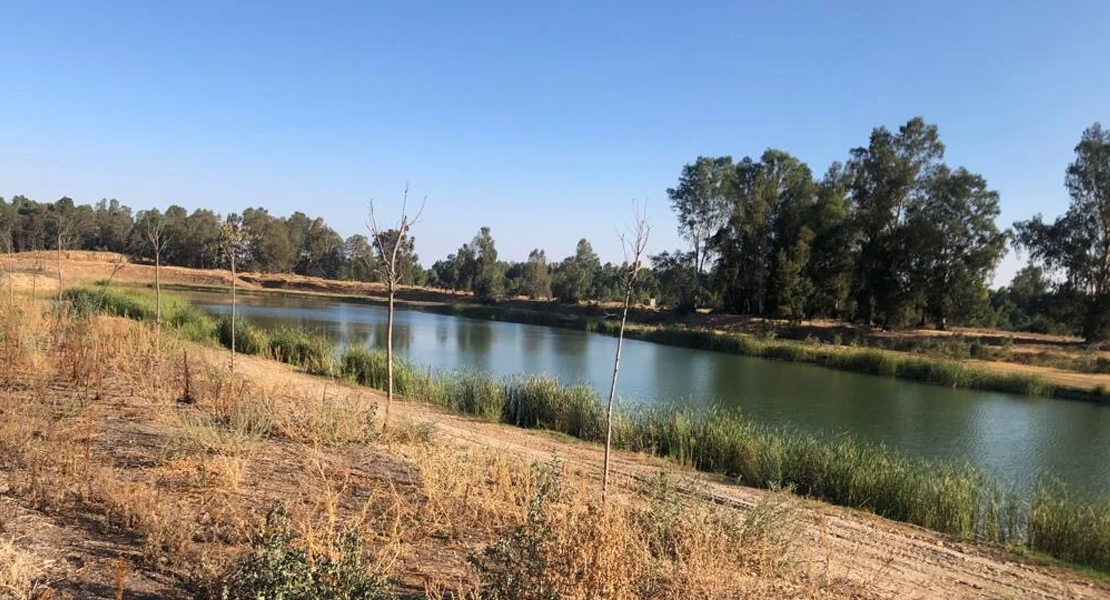 Se podrá practicar la pesca deportiva en la charca de La Encomienda