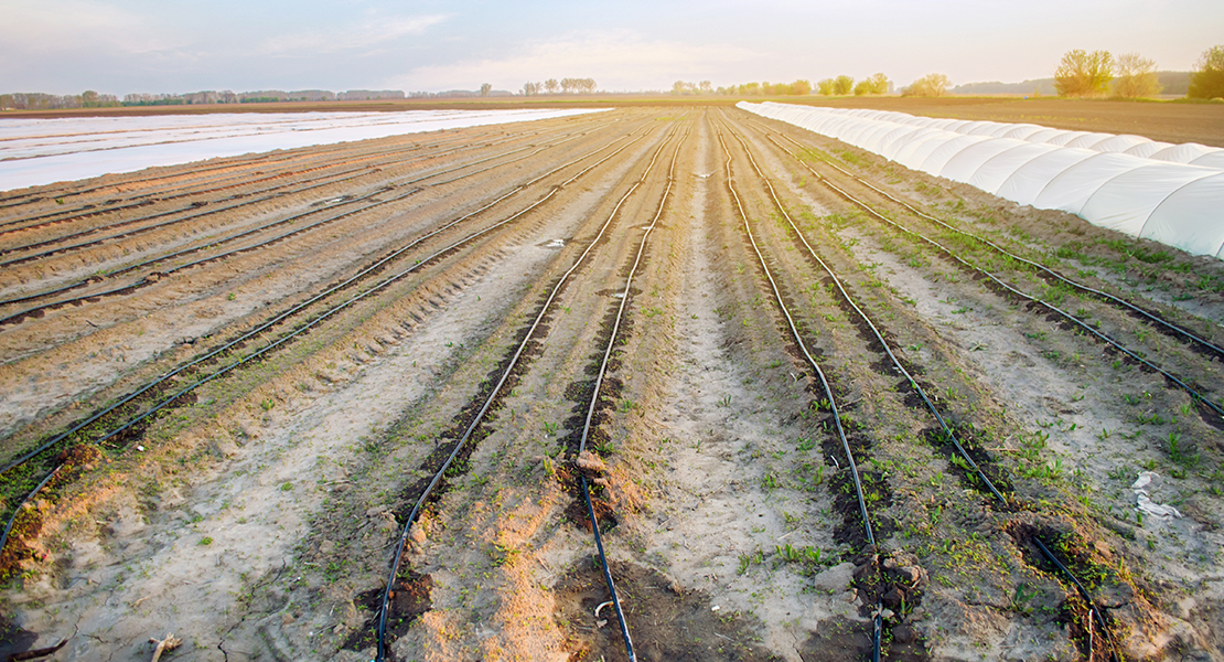 Más del 60,6% de la superficie de regadío en Extremadura incorpora el riego por goteo