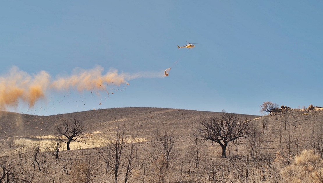 Actuación urgente en las zonas afectadas por los incendios de Las Hurdes y Miravete