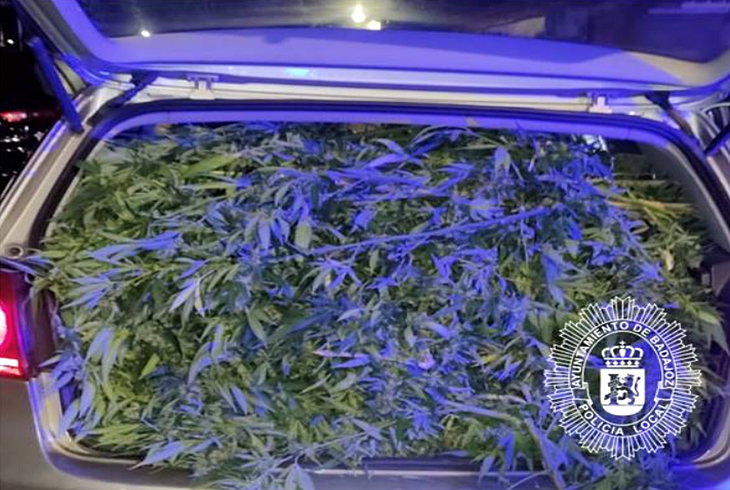 Un coche repleto de marihuana. Detenidos en Badajoz tras persecución policial