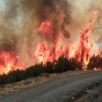 Declaran zona de actuación urgente los terrenos de la Sierra de Gata afectados por el fuego