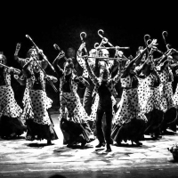 El flamenco extremeño presente en la final europea de un concurso de danza en París