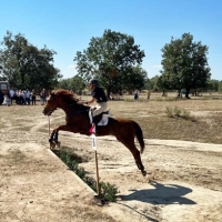 Extremadura apuesta por el sector equino