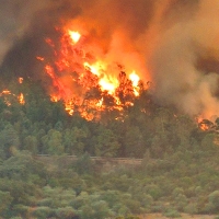 ¿Qué ocurrirá con el terreno arrasado en Monfragüe este verano?