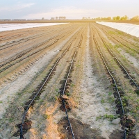 Más del 60,6% de la superficie de regadío en Extremadura incorpora el riego por goteo