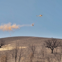 Actuación urgente en las zonas afectadas por los incendios de Las Hurdes y Miravete