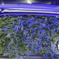 Un coche repleto de marihuana. Detenidos en Badajoz tras persecución policial